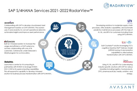 Additional Image4 SAP S4HANA Services 2021 2022 RadarView 450x300 - SAP S/4HANA Services 2021–2022 RadarView™