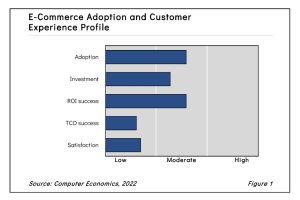 E-Commerce Adoption Trends and Customer Experience 2022