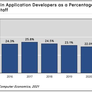 Application Developer Staffing Ratios 2021