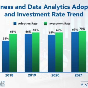 Business and Data Analytics Adoption and Customer Experience 2021