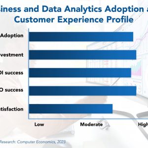 Business and Data Analytics Adoption Trends and Customer Experience 2023