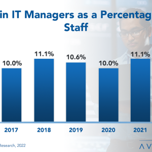 IT Management and Administration Staffing Ratios 2022