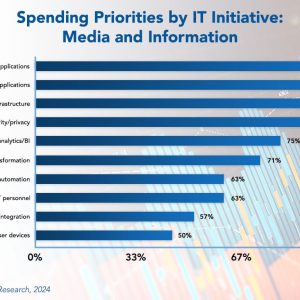 IT Spending Trends in the Media and Information Sector 2024