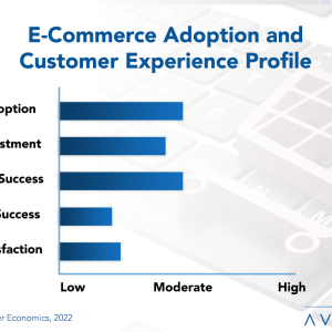 E-Commerce Adoption Trends and Customer Experience 2022
