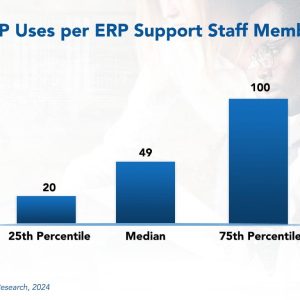 ERP Support Staffing Ratios 2024