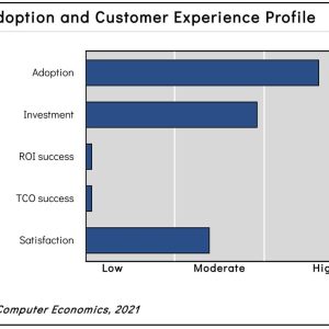 ERP Adoption Trends and Customer Experience 2021