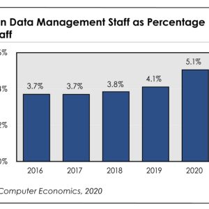 Data Management Staffing Ratios 2020