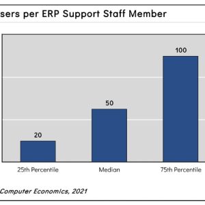 ERP Support Staffing Ratios 2021