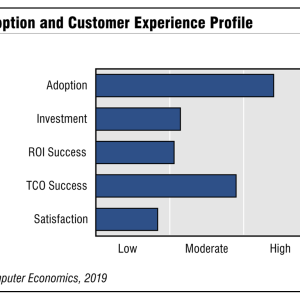 HCM Adoption Trends and Customer Experience 2019