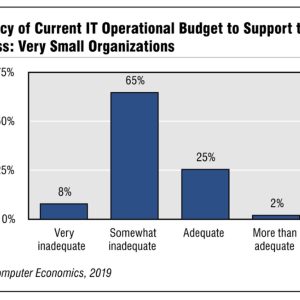 Very Small Organizations Struggling for IT Budget