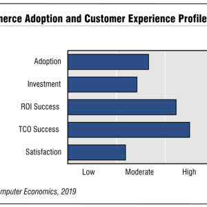 E-Commerce Adoption Trends and Customer Experience 2020