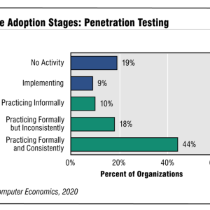 Penetration Testing Adoption and Best Practices 2020