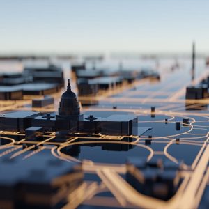 State and Local Government Digital Services 2024 Market Insights™