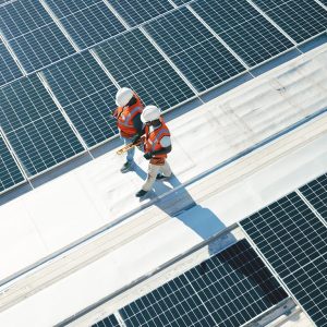 Utilities Digital Services 2024 Market Insights™