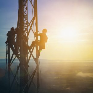 Telecom Digital Services 2024 Market Insights™