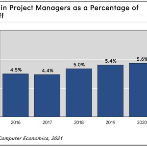 IT Project Management Staffing Ratios 2021
