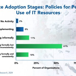 Policies for Personal Use of IT Resources Best Practices 2024