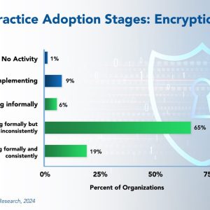 Encryption Best Practices 2024