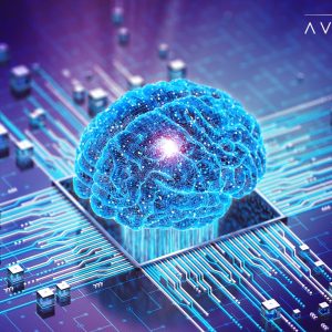 AWS Bets on Model Flexibility and Hardware Efficiency for a Distinctive Generative AI Advantage