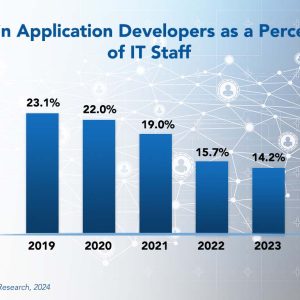 Application Developer Staffing Ratios 2024