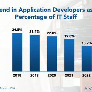 Application Developer Staffing Ratios 2022