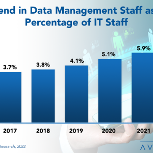 Data Management Staffing Ratios
