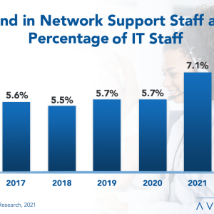 Network Support Staffing Ratios 2021