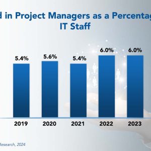 IT Project Management Staffing Ratios 2024