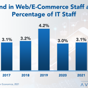 Web/E-Commerce Staffing Ratios 2021