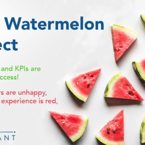 Avoid the Watermelon Effect—Focus on Customer Experience