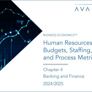 Human Resources Budgets, Staffing, and Process Metrics 2024/2025: Chapter 4: Banking and Finance