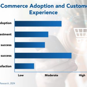 E-commerce Adoption Trends and Customer Experience 2024