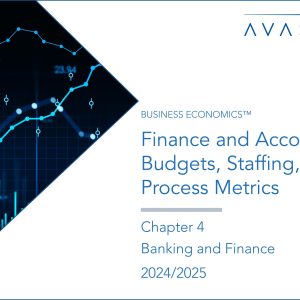 Finance and Accounting Budgets, Staffing, and Process Metrics 2024/2025: Chapter 4: Banking and Finance