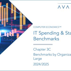 IT Spending and Staffing Benchmarks 2024/2025: Chapter 3C: Benchmarks by Organization Size: Large