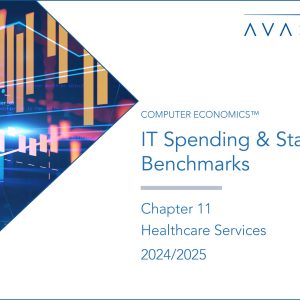 IT Spending and Staffing Benchmarks 2024/2025: Chapter 11: Healthcare Services
