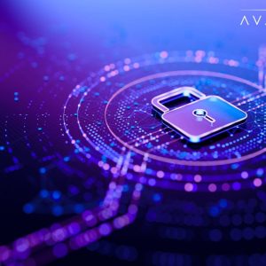 IT and Apps Managed Services Pricing and Solution Trends: H1 2025