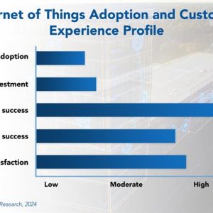 Internet of Things Adoption Trends and Customer Experience 2024