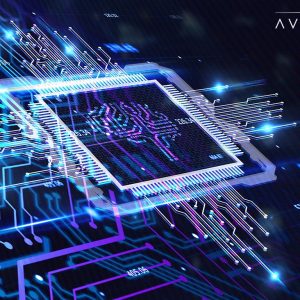 Redefining Humanity: The Next Evolutionary Leap?