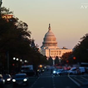 State and Local Government Digital Services 2025 Market Insights™