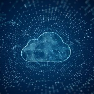 Healthcare Payer Business Process Transformation 2025 Market Insights™