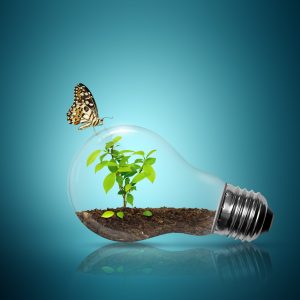 Special Brief Summary: The Caterpillar’s Edge