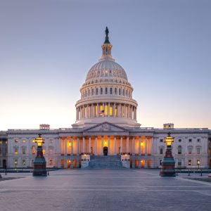 State and Local Government Digital Services 2023-2024 RadarView™