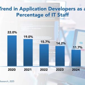 Application Developer Staffing Ratios 2025