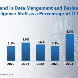 Data Management and Business Intelligence Staffing Ratios 2025