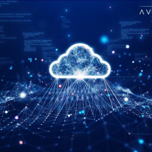 The Impact of Broadcom's Acquisition of VMware: Pricing and Licensing Changes, and Strategies for Mitigation