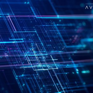 Policy Harmonization for IT Procurement: Alignment Across Entities