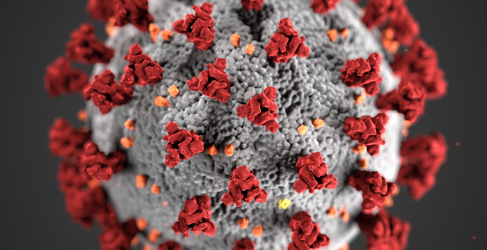 Response to COVID-19​ Image