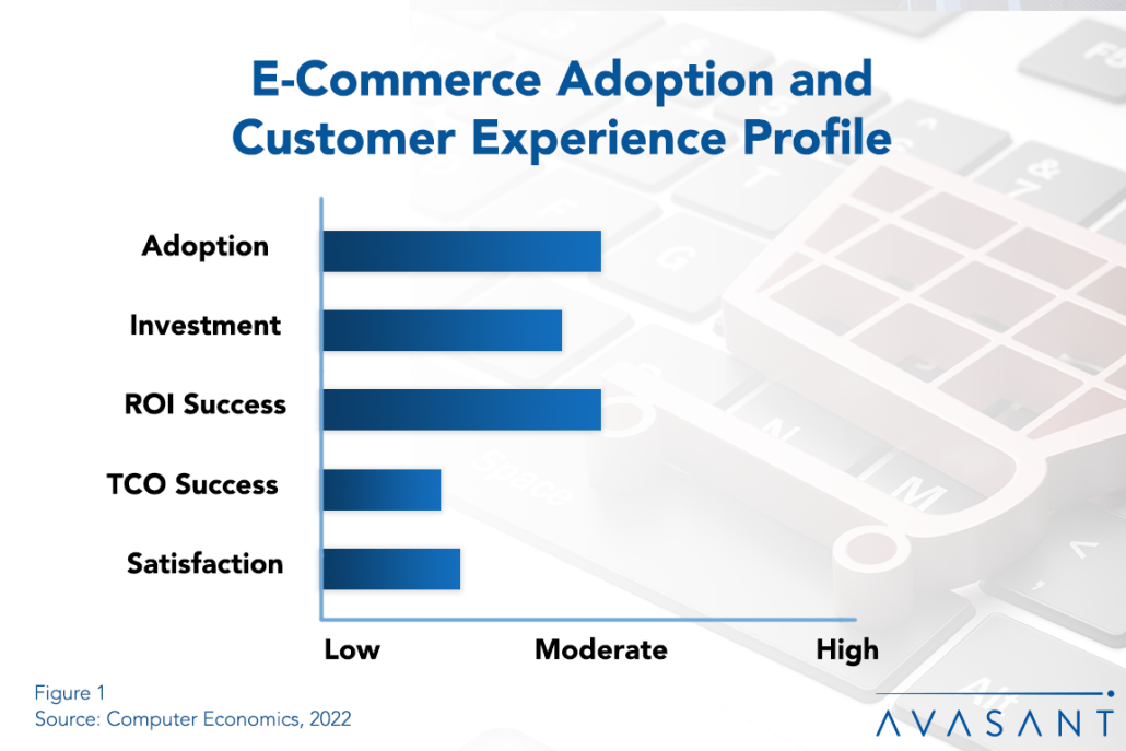 E Commerce Adoption and Customer Experience Profile copy 1030x687 1