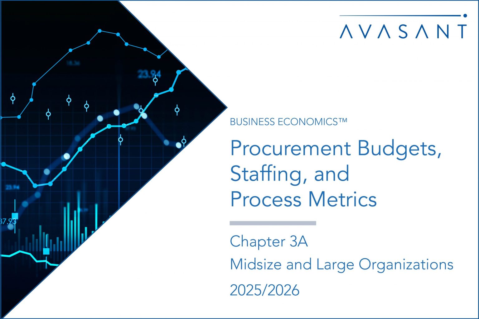 Procurement Budgets, Staffing, and Process Metrics 2025/2026: Chapter ...