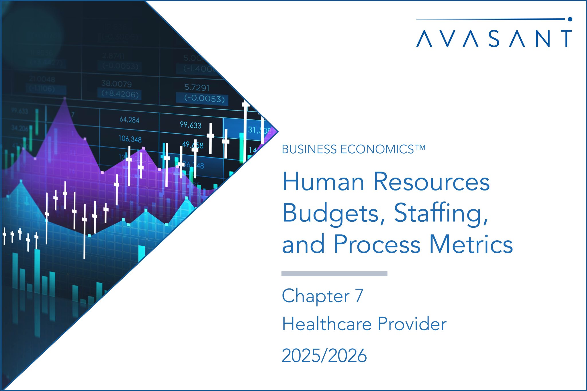 Human Resources Budgets, Staffing, and Process Metrics 2025/2026 ...